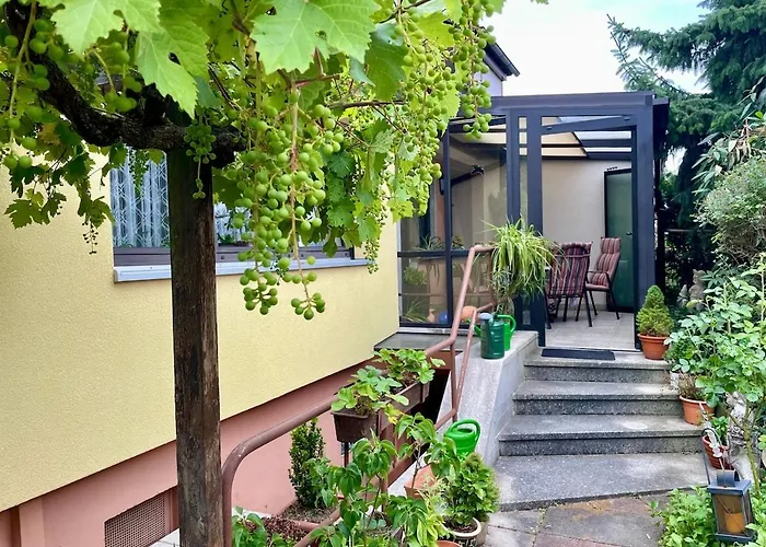 Spacious 3Br House With 2 Parking Spaces & Garden